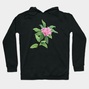 February 10th birthday flower Hoodie